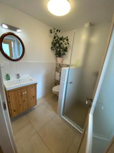 a bathroom with a shower and a sink and a toilet at Sunny studio Prague in Prague