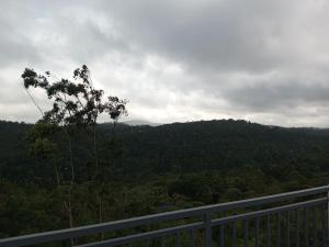 Afbeelding uit fotogalerij van The Fortunara Crown Munnar in Munnar