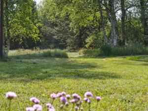 a field with pink flowers in the grass at Holiday Home Irlin - 600m from the sea by Interhome in Jerup