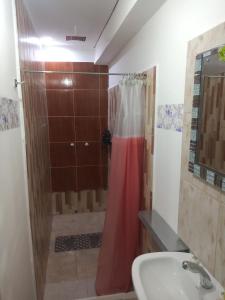 a bathroom with a shower and a sink at Don Mario in San Luis