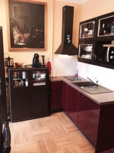 a kitchen with a sink and a counter top at Luxury Dana's City Centre Apartment in Kaunas