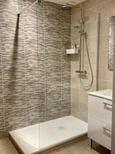 a shower with a glass door in a bathroom at La Rive, bord de Saône  +9 photos