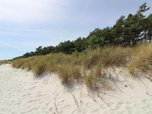 a sandy beach with tall grass and trees in the background at Holiday Home Auvo - 200m from the sea by Interhome in Neksø