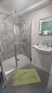 un baño con ducha y lavabo en La goutelle, en Neufmanil