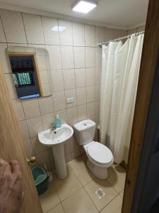 a bathroom with a toilet and a sink at Pucón, casa en parcela in Pucón