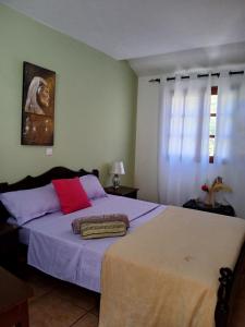 a bedroom with a bed with purple and red pillows at Helder ''DivinArt'' in Ribeira Grande