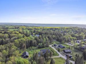an aerial view of a village with houses and trees at Holiday Home Eireen - 600m to the fjord by Interhome in Farsø