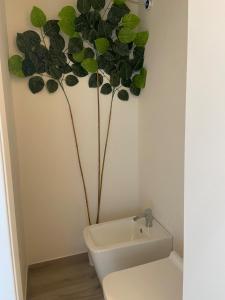 ミラノにあるDream - a nest in Porta Veneziaのトイレの隣に植物のあるバスルーム