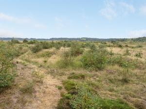 a dirt road in a field with grass and bushes at Holiday Home Waldar - 900m from the sea by Interhome in Fjerritslev
