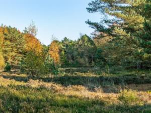 Příroda nedaleko prázdninového domu