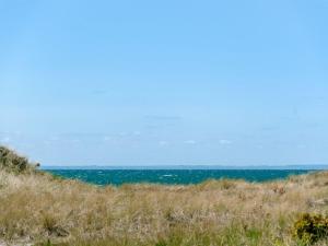 Naturlandskabet i nærheden af feriehuset
