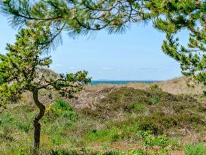 Naturlandskabet i nærheden af feriehuset