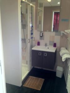 a bathroom with a shower and a sink at Hotel O2B Aux Berges de Brocéliande in Beignon