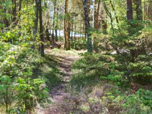 a dirt trail in a forest with trees at Holiday Home Olla - 400m from the sea by Interhome in Neksø