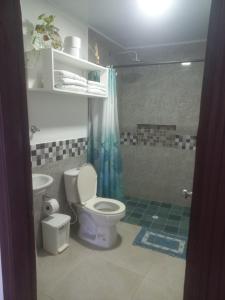 a bathroom with a toilet and a sink and a shower at LODGE ELIZABETH HOUSE in San Francisco