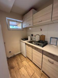 a small kitchen with a sink and a counter at Pod Jarzębiną in Toruń