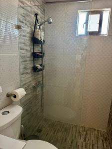 a bathroom with a glass shower with a toilet at Bayahibe Apartment by the Beach in Bayahibe