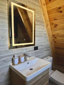 a bathroom with a sink and a mirror and a toilet at Durmitor's Mirror Žabljak in Žabljak
