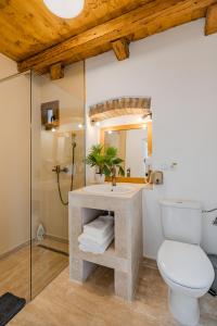 a bathroom with a sink and a toilet and a shower at Reichau Transilvania in Răhău