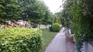
Ogród w obiekcie Apartament z Ogrodem Zielone Tarasy
