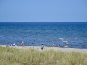 un grupo de personas en una playa cerca del agua en Holiday Home Jaane - from the sea by Interhome, en Hals