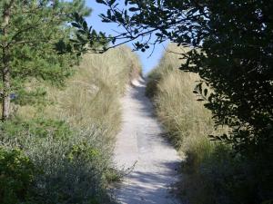 Un camino de tierra con hierba alta y árboles. en Holiday Home Jaane - from the sea by Interhome, en Hals