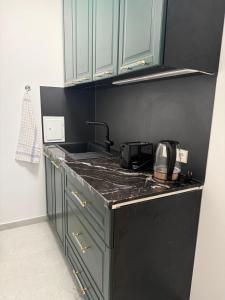 a kitchen with a sink and a counter top at Pension Marie Prenzlauer Berg in Berlin