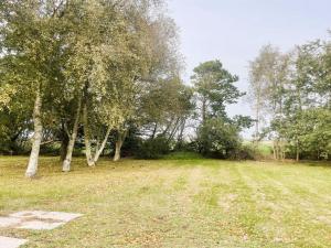 un campo con árboles y césped y algunos árboles en Holiday Home Agla - 2-5km from the sea by Interhome, en Nørre Nebel