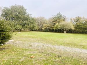 un campo de césped con árboles en el fondo en Holiday Home Agla - 2-5km from the sea by Interhome, en Nørre Nebel