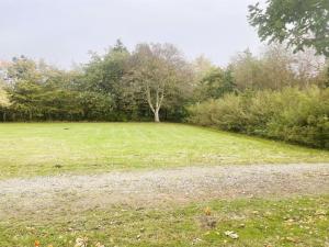 un campo con un árbol en el medio. en Holiday Home Agla - 2-5km from the sea by Interhome, en Nørre Nebel