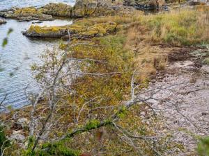 a body of water with rocks in the background at Holiday Home Caren - 75m from the sea by Interhome in Allinge