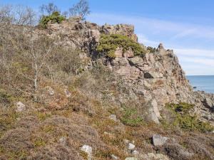 a rocky mountain with trees on it next to the ocean at Holiday Home Caren - 75m from the sea by Interhome in Allinge