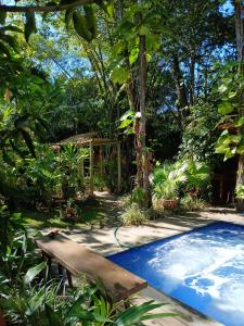 a swimming pool in a garden with a wooden bench at Casa Gungalilin Trancoso in Trancoso