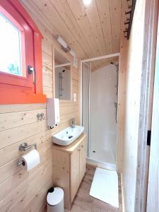 ゲッティンゲンにあるFerienhauspark im Freibad Brauweg - Rolling Lodgesの洗面台、シャワー、トイレ付きのバスルーム +8枚の写真