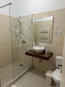a bathroom with a sink and a shower at Centru Vechi Brasov in Braşov +12 photos