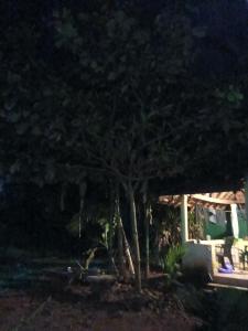 Taman di luar Nagamma cottage