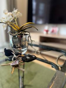 Fotografie z fotogalerie ubytování The Olive Tree Keys v Londýně