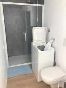 ラ・テュルバルにあるLoft en bois avec terrasse et jardin à La Turballeのトイレとガラスのシャワー付きのバスルーム