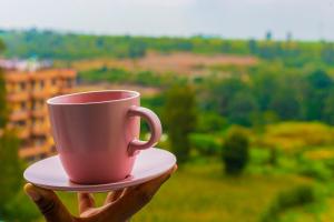 a person holding a pink coffee cup on a plate at The Homely Retreat in Thika +3 photos
