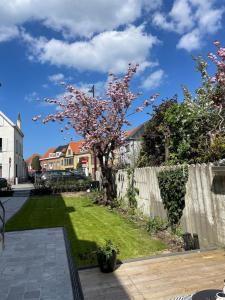 un jardin avec un arbre et une clôture dans l'établissement Casa Kana, au Coq