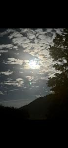 a cloudy sky with a tree in the foreground at Boone Trace Inn Room 4 in Pineville +18 photos