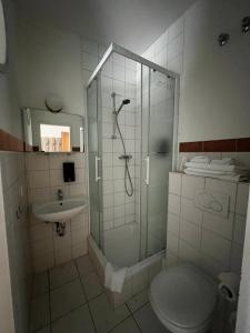 a bathroom with a shower and a toilet and a sink at Top of Hostel &Serviced Aparts SEBO Pension in Fürth +31 photos
