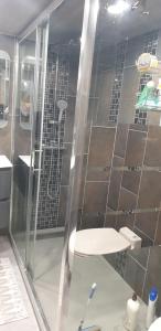 a bathroom with a shower with a glass door at Séjour confortable sur péniche luxueuse in Brouckerque +5 photos