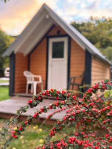 tent hotels 6M Octagon 30 Sqm Luxury Hotel Tent House with Glass Wall for Glamping