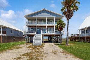 a house on the beach with a palm tree at Malibu Beach House in Dauphin Island