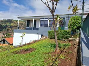 蓬他达维托亚Varanda Encantada House的一栋白色的房子，前面有一棵树