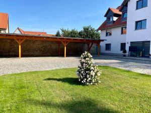 a bush of flowers in the grass in front of a building at Ferienwohnung Bertchen - barrierefrei mit Südterrasse und Carport in ruhiger Altstadtlage von Ballenstedt in Ballenstedt