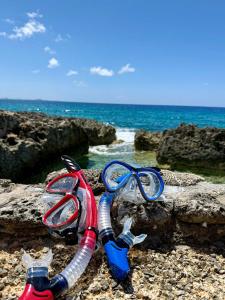 a pair of scissors sitting on a rocky beach at Fabulous one bedroom in West Bay in West Bay