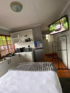 cocina con cama y TV de pantalla plana en Central & cozy Vincent bachelor, en East London