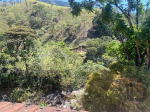 a view of a mountain with trees and bushes at Hospedagens Maromba in Itatiaia
